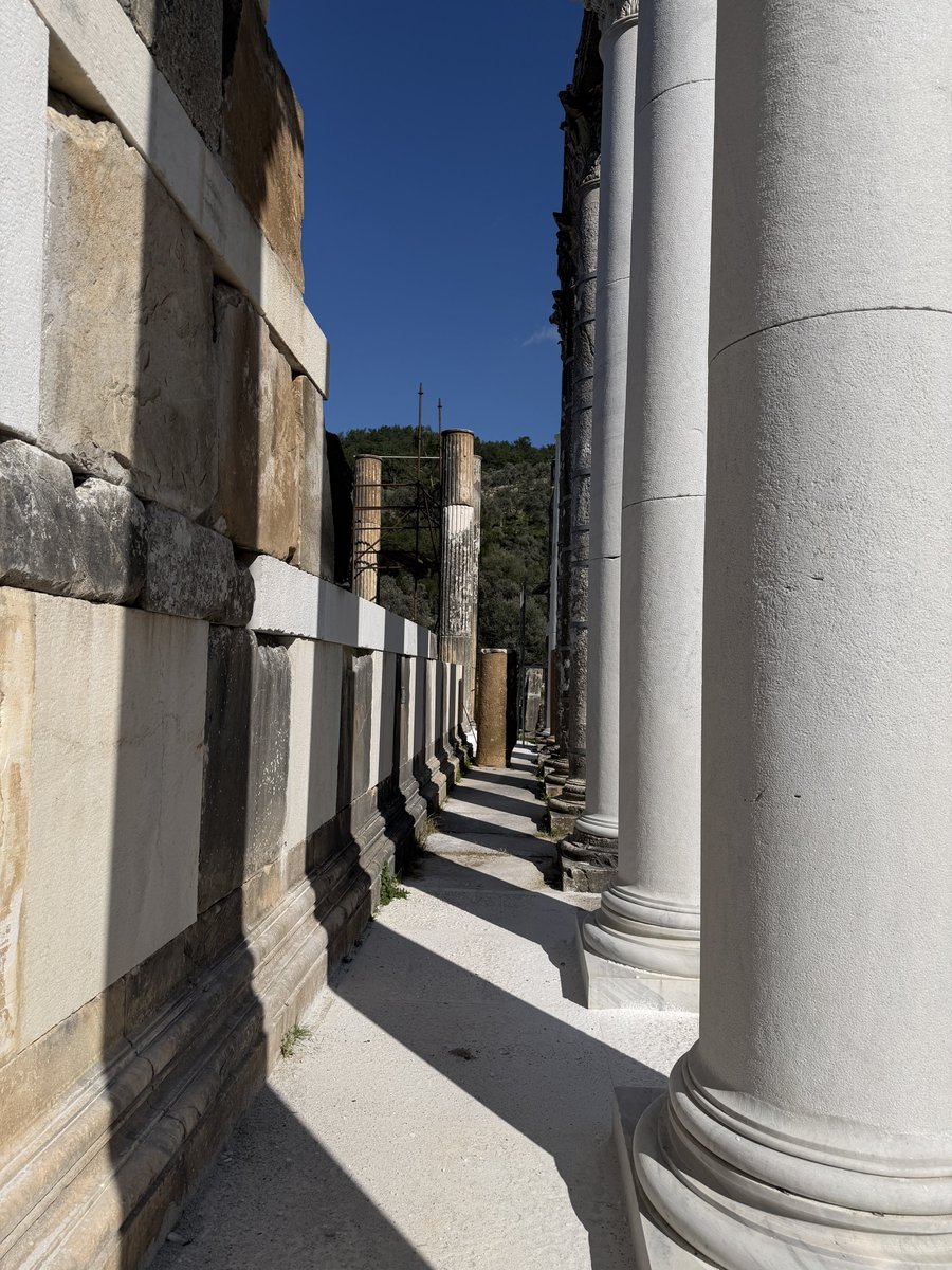 Yusuf SEZGİN tweet media