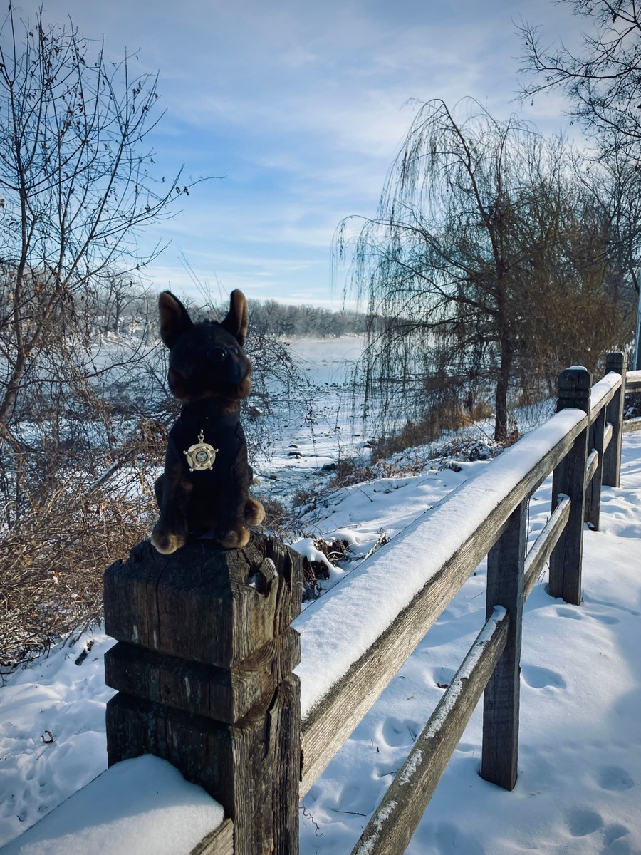 MN Sheriffs’ Association tweet media