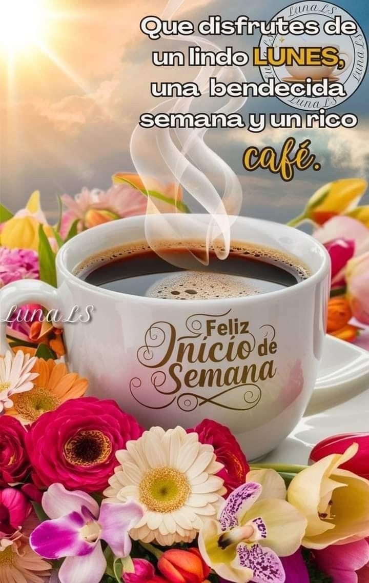 leilady12's tweet photo. Buen inicio de semana https://t.co/Nlfu1wDCRy