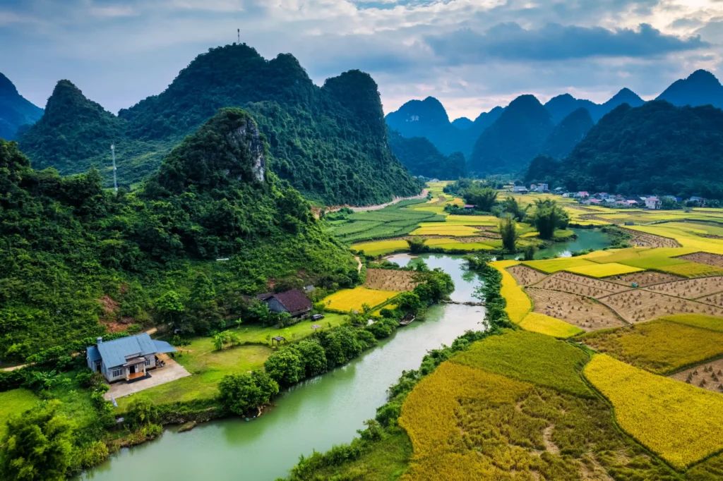 Vietnam en 10 días: itinerario completo de norte a sur + consejos de @mundo_nomada 

buff.ly/Yusd4aO