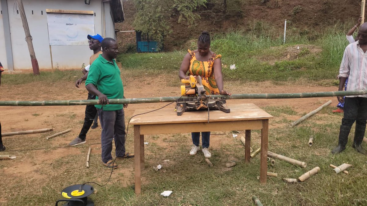 CanadaCameroun's tweet photo. 🇨🇦au🇨🇲 #Yaoundé_Nkolbisson | Grâce au #FCIL🇨🇦, des femmes & filles déplacées internes transforment le bambou en opportunités🇨🇲 : attestations remises+ lancement d’AGR. 70 IDPs formées, centre de transformation et débouchés de vente. #CanadaInCameroon #CroissanceInclusive #Bambou https://t.co/DvtisTPIbP