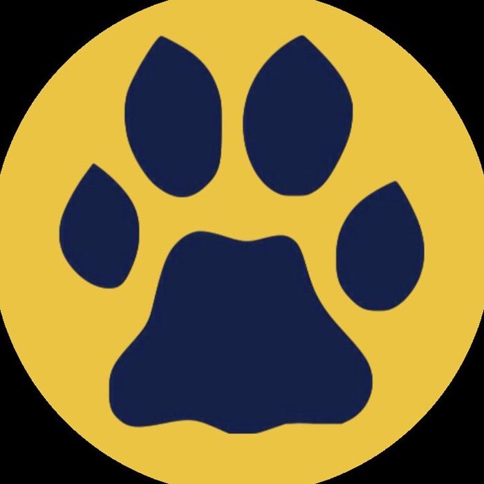 Tom Kaufman 🇺🇸 tweet media