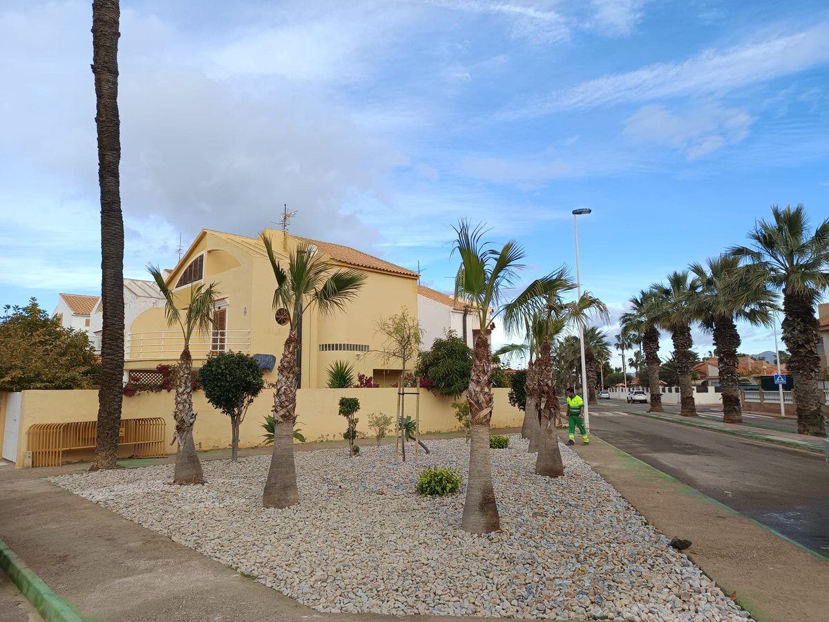 STV Gestión tweet media