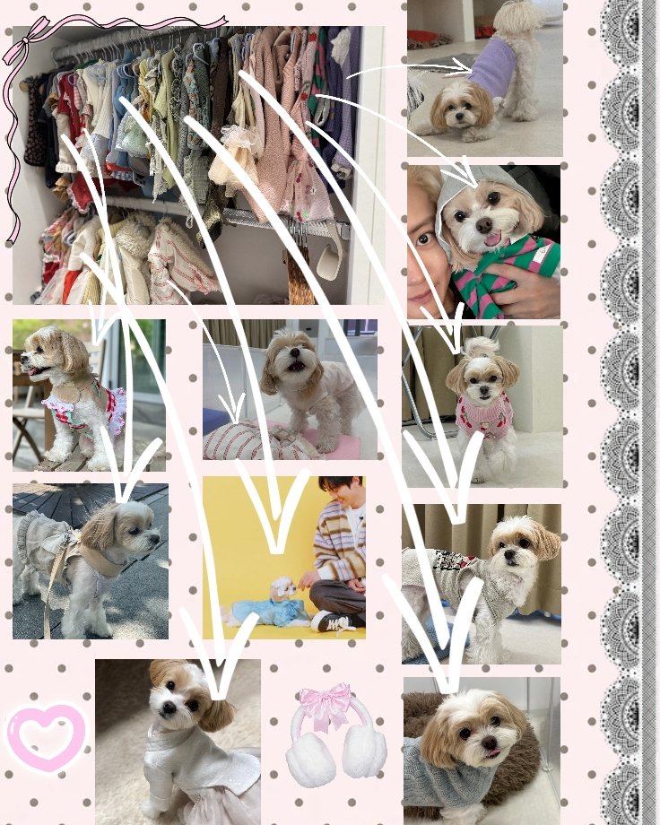 찬열ᵖᶜʸ⁶¹ tweet media