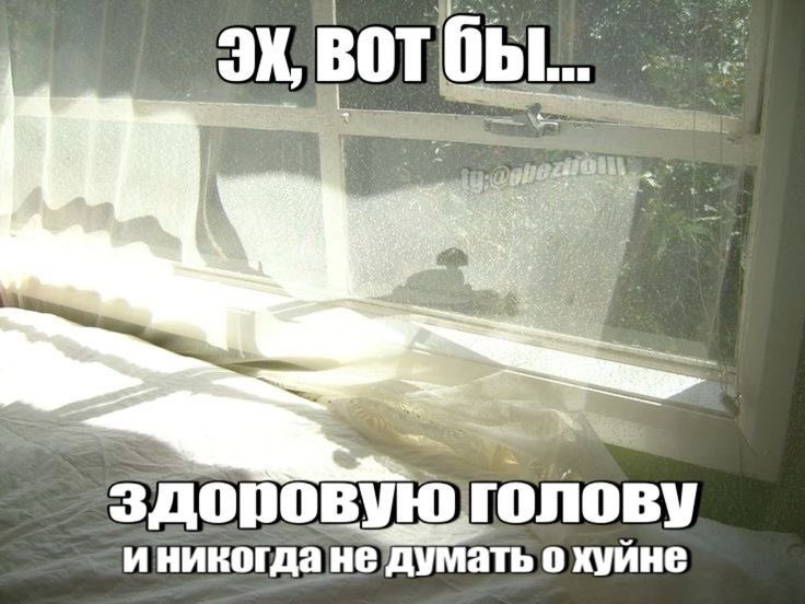 Asgardskaya's tweet photo. Да… https://t.co/PVCAwQQgBM