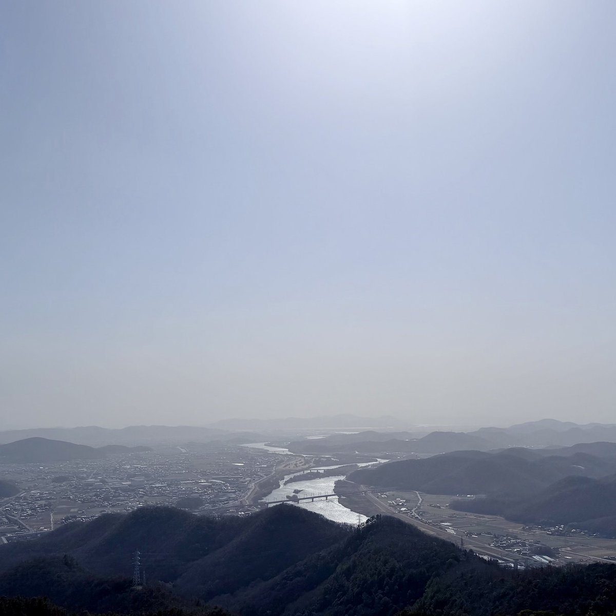 ばった tweet media