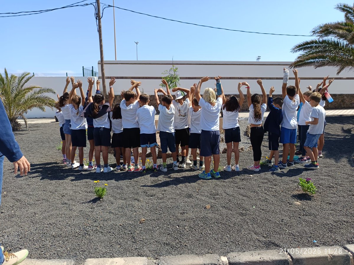 STV Gestión tweet media