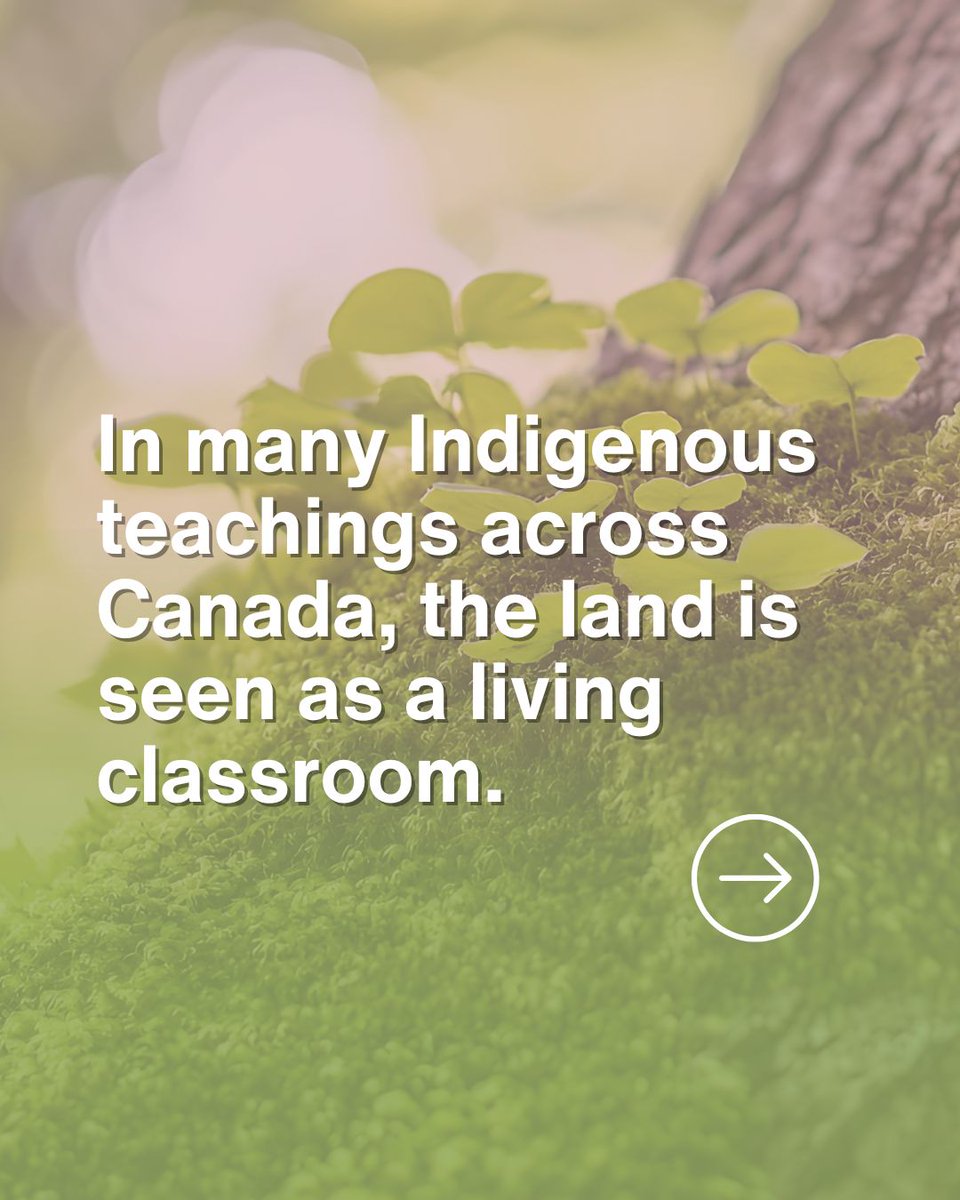 Green Calgary tweet media