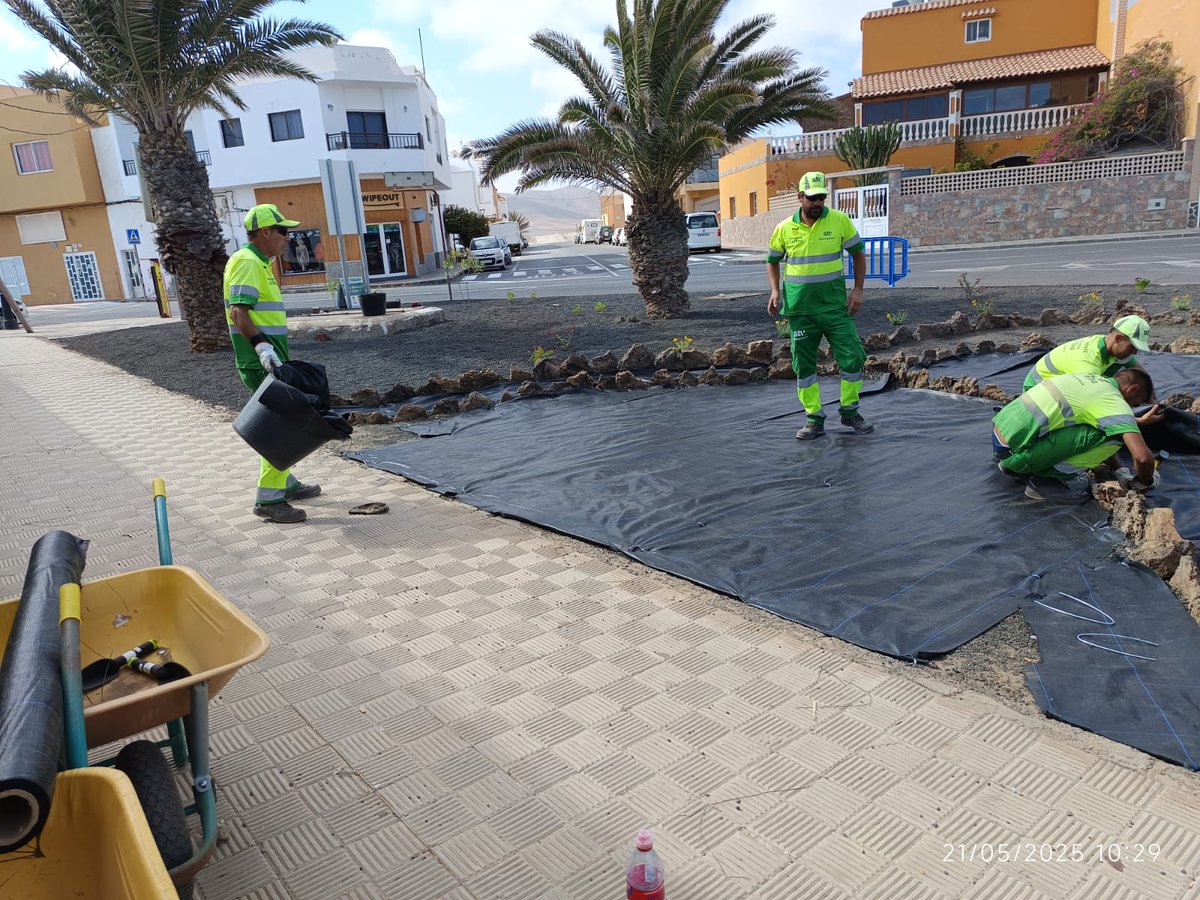 STV Gestión tweet media