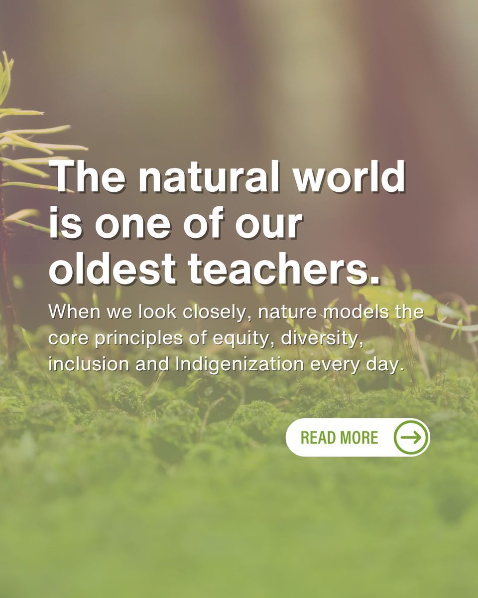 Green Calgary tweet media