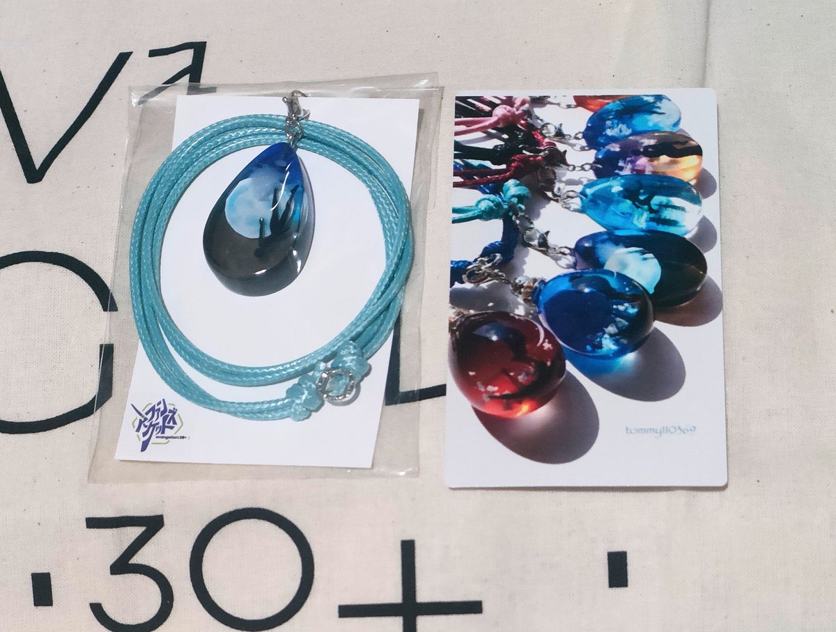 ファンズマーケットにて、レイちゃんをお迎え頂きありがとうご