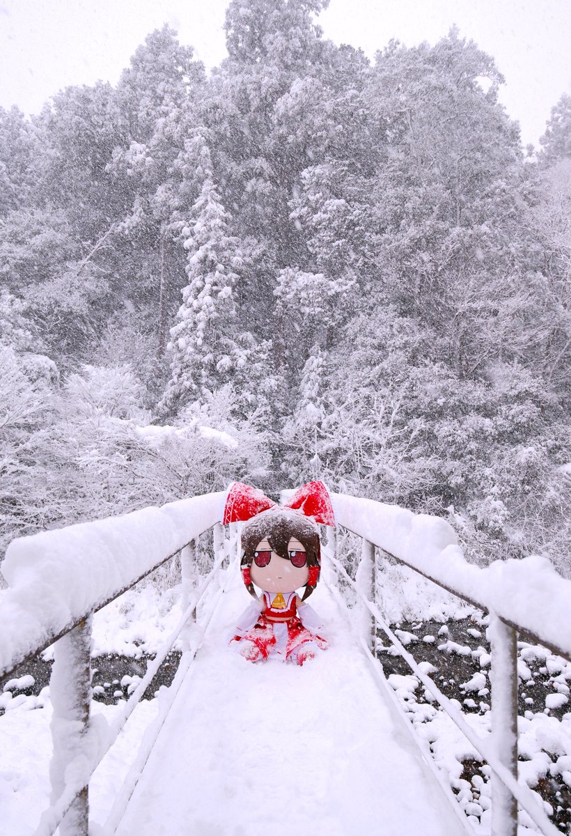 𝕂𝕀𝕄𝔼🐸(ᗜˬᗜ)ᶠᵘᵐᵒⁿᵃᵘᵗ tweet media