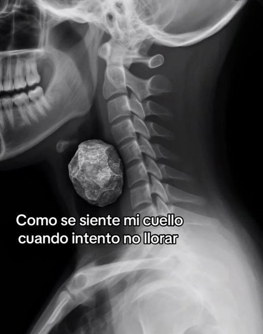 itsD3lay🐧 (@itsd3lay) on Twitter photo 