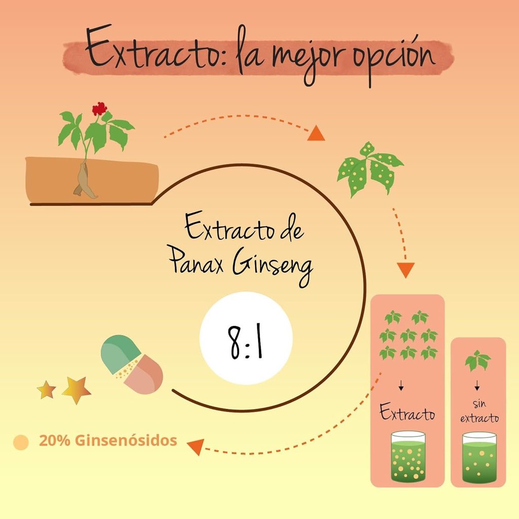 nutrisabio's tweet photo. ¿Ginseng rojo coreano para memoria y energía?
✔️ Alta concentración (20%)
✔️ Energía estable
✔️ Sin aditivos
❌ No es efecto inmediato
Ideal para fatiga mental y estudio intenso.
Análisis completo 👇
https://t.co/QaxfUkXIPS
Ver en Amazon: https://t.co/brpgWOUlPU https://t.co/F6TZ7I0Ocf