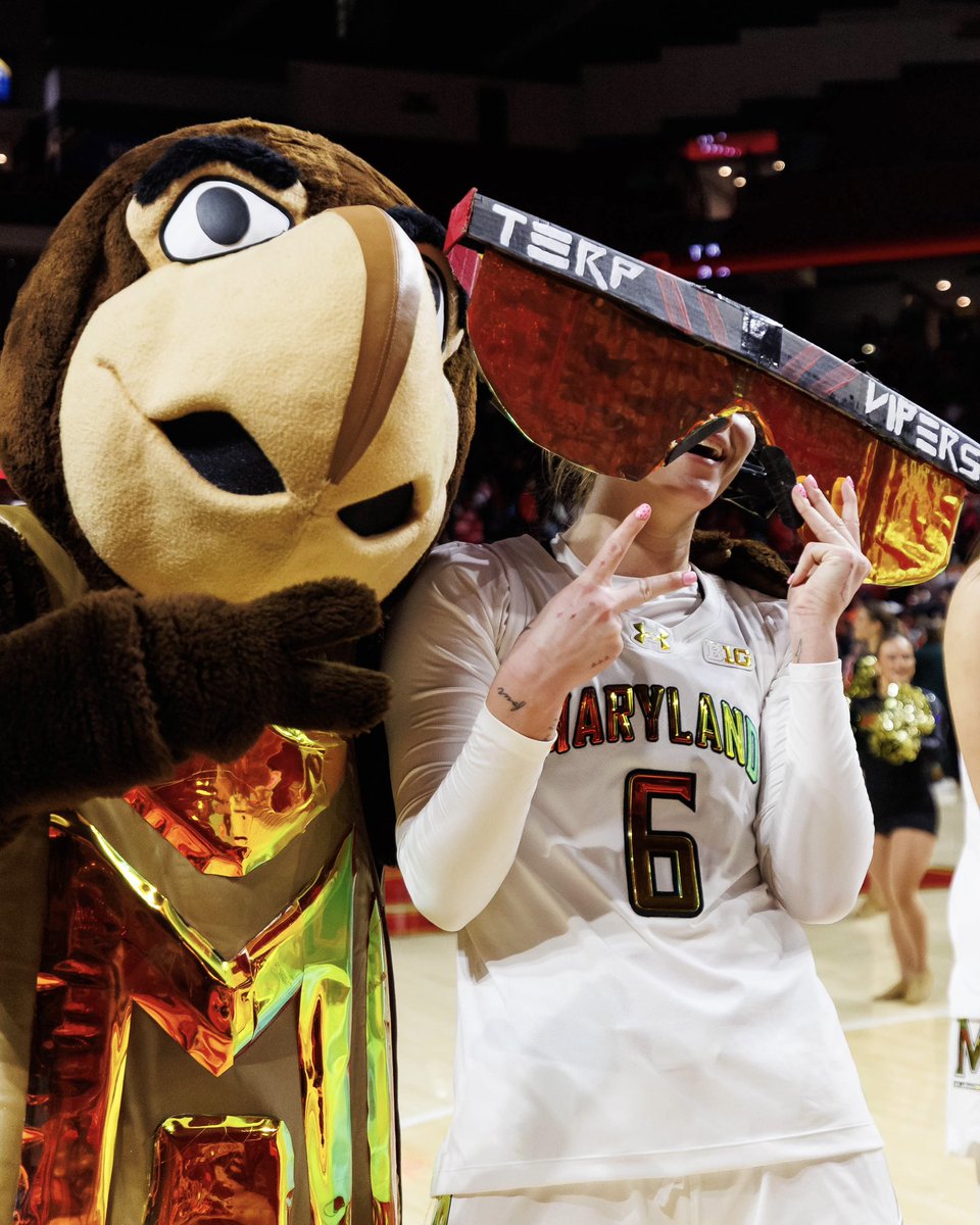 Testudo tweet media