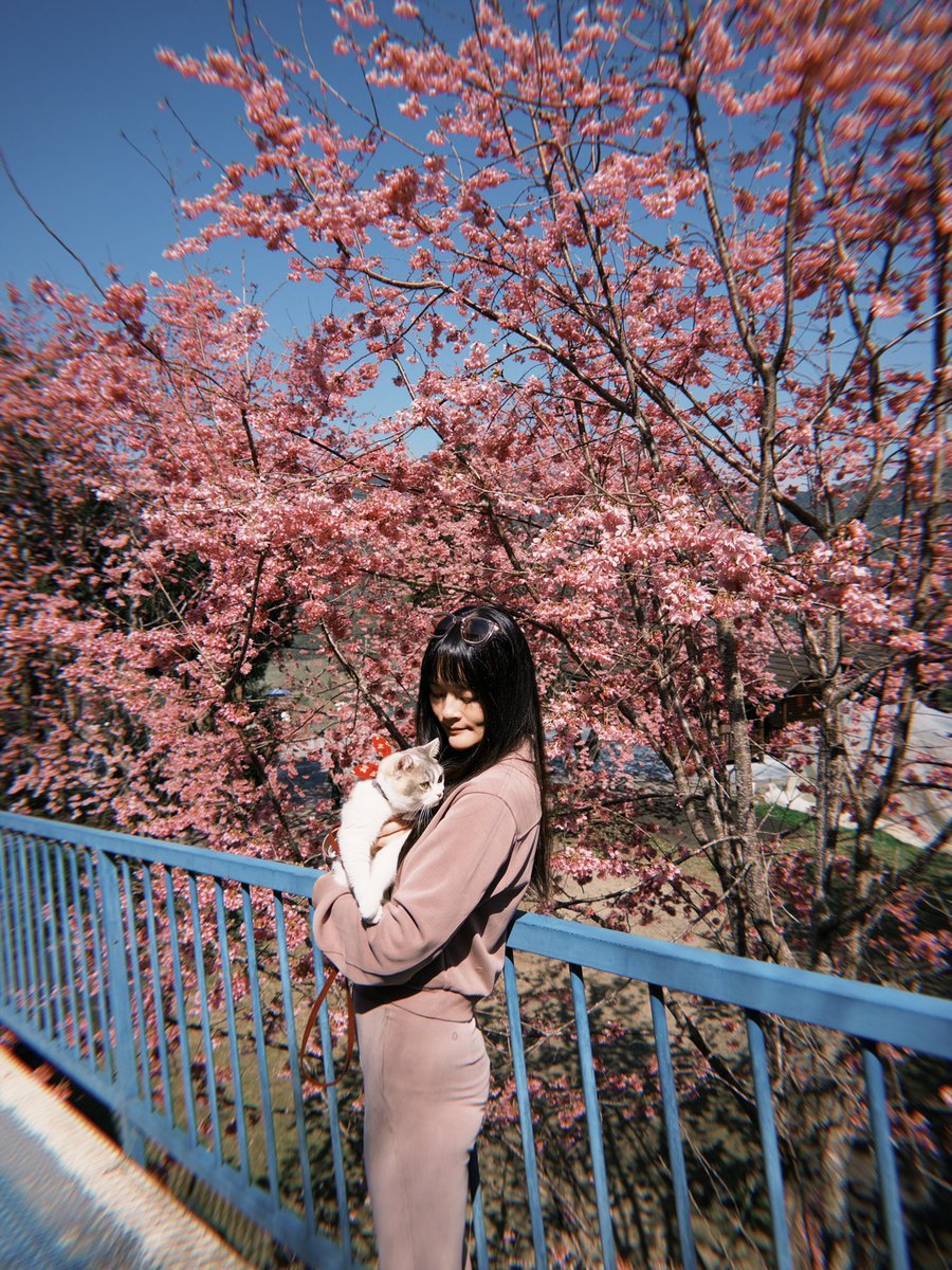 Jen Jen 👅🩸Aura Queen 🩵 tweet media