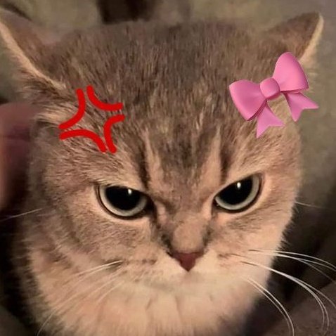 Meow meow 😻

#แอปเปิ้ลมิ้ม #AppleMim #Applelapisara #Mimpanthita