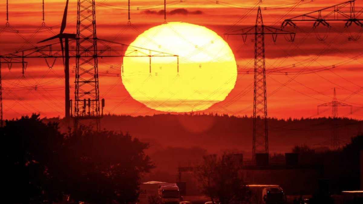 The Integrity Project tweet media