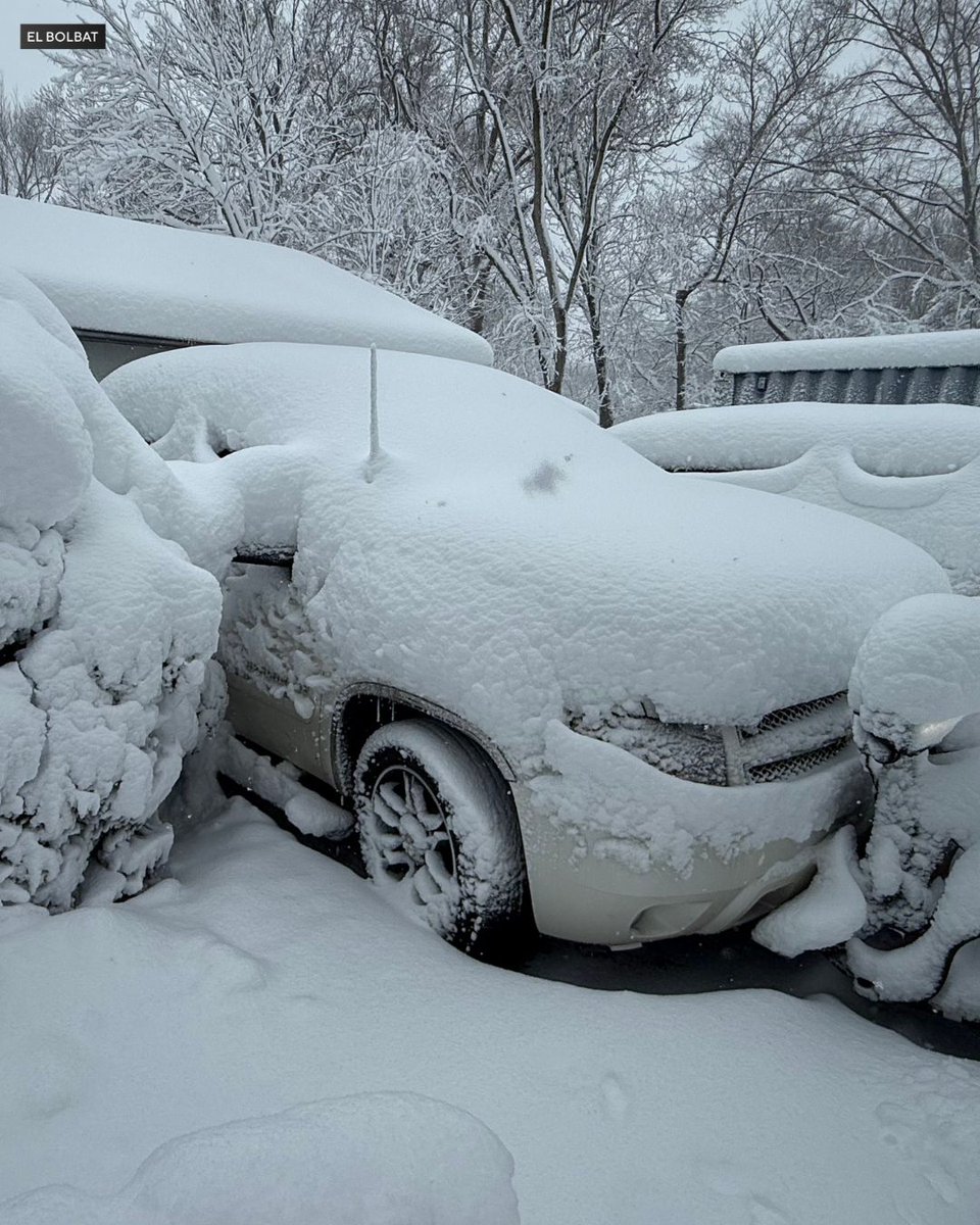 CBS Philadelphia tweet media