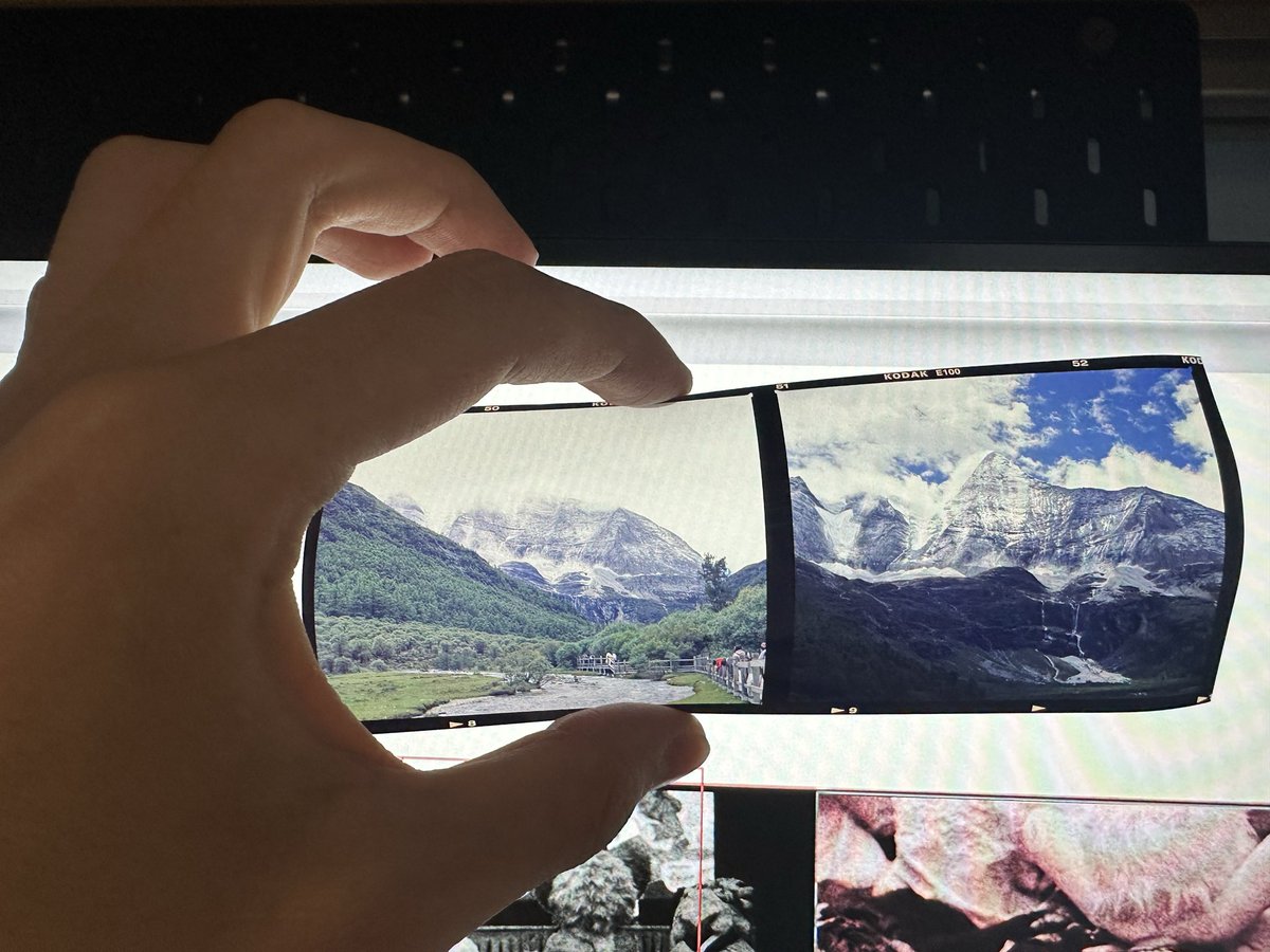 Tico·Willy tweet media