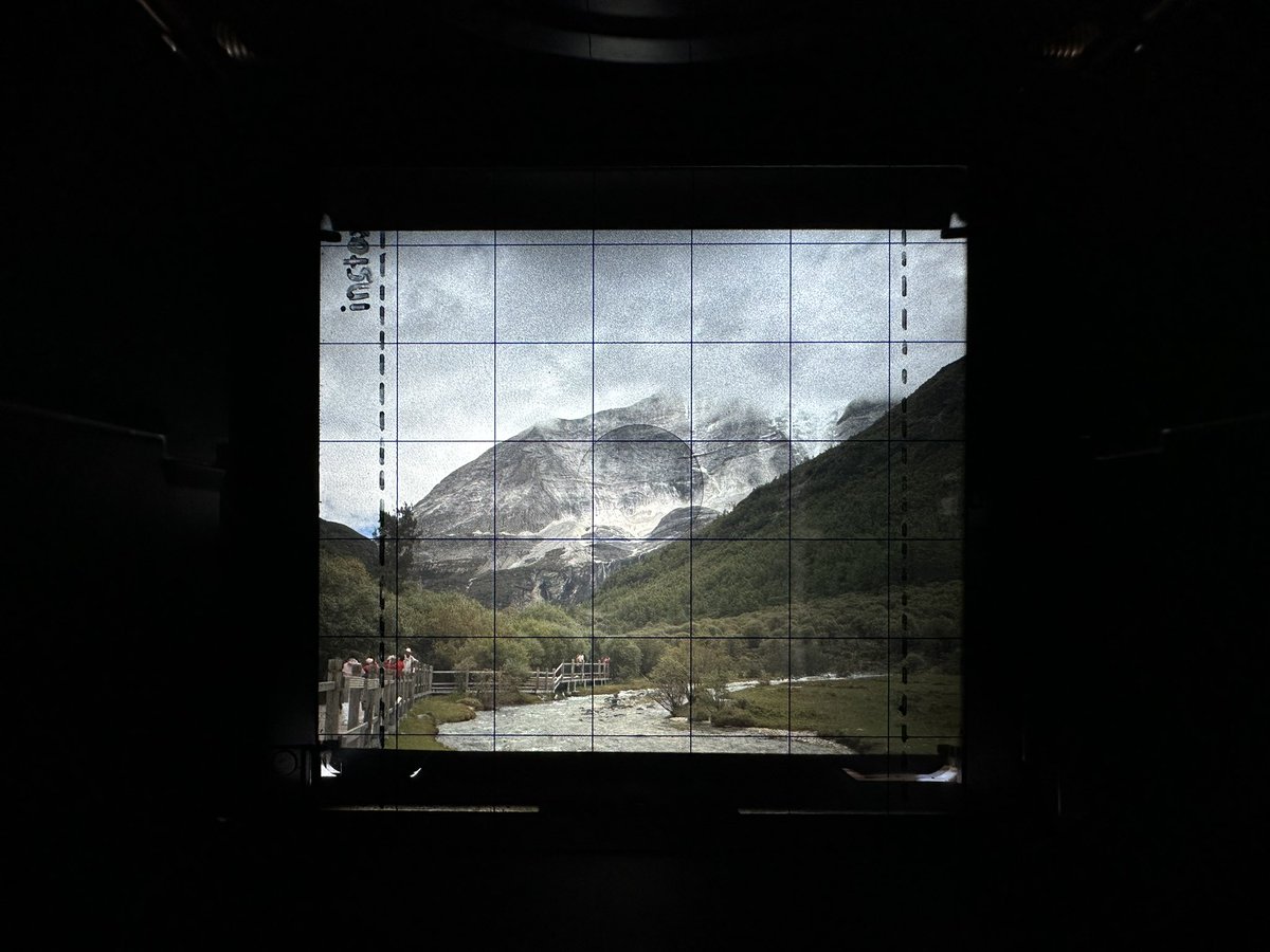 Tico·Willy tweet media