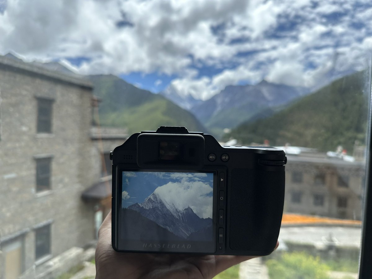 Tico·Willy tweet media