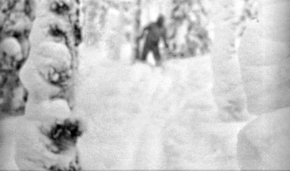 neprolazi's tweet image. Day 1 nightmare unlocked…
Programmer on Reddit opened this at 3am. His PC was never the same.
Real or edited? 
#Creepy #WTF #Horror #DarkTech