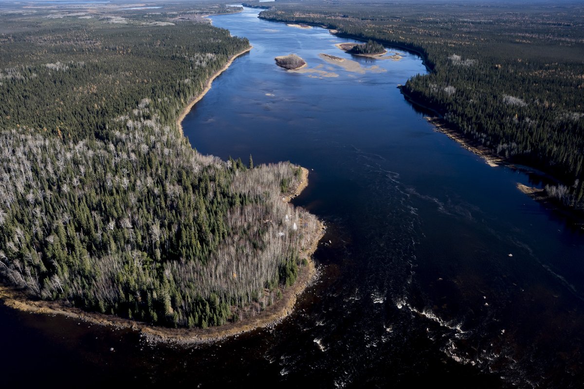 Counsel Public Affairs tweet media