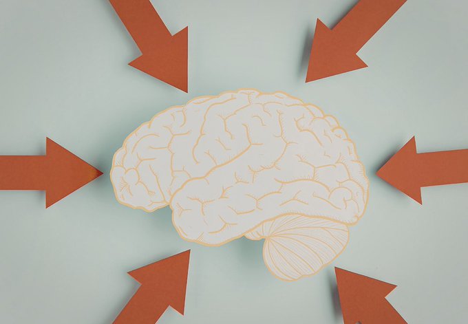 EARA France tweet media