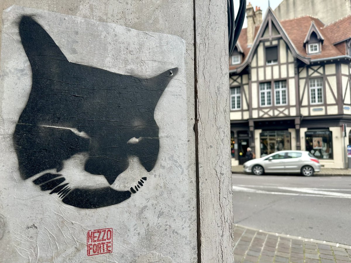 NEWS'MAG tweet media