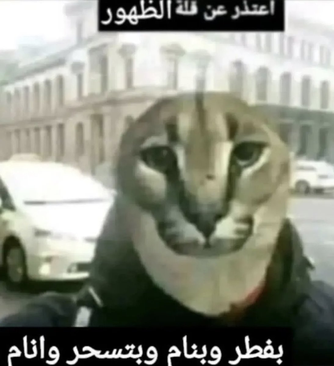 سيسي عبدو (@queensisi24) on Twitter photo 