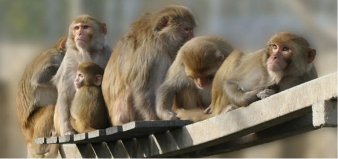 EARA France tweet media