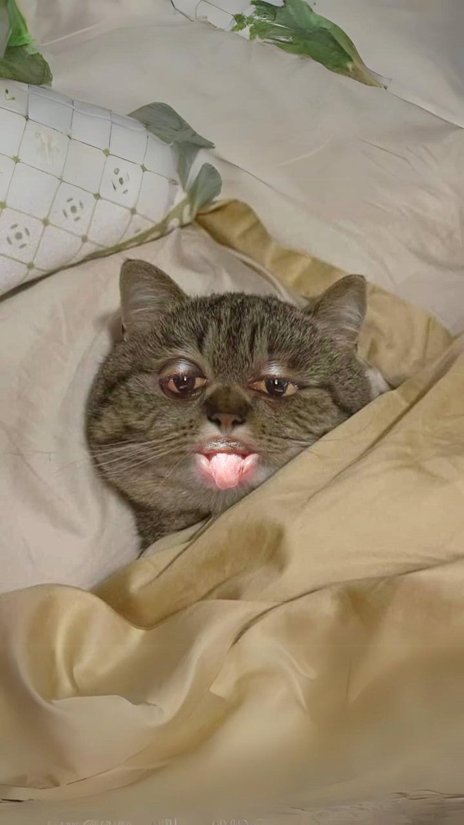 Me sef I no small 
Now I get 50views e no easy 
<a href="/elonmusk/">Elon Musk</a> make this virallll