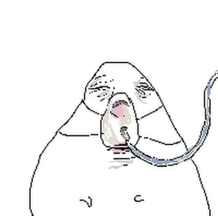 gordo pou tweet media