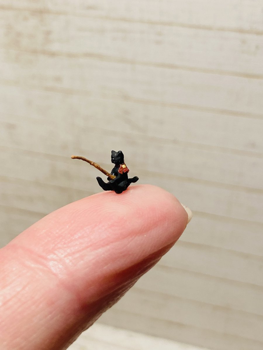 可愛い黒猫が出来た🐈‍⬛