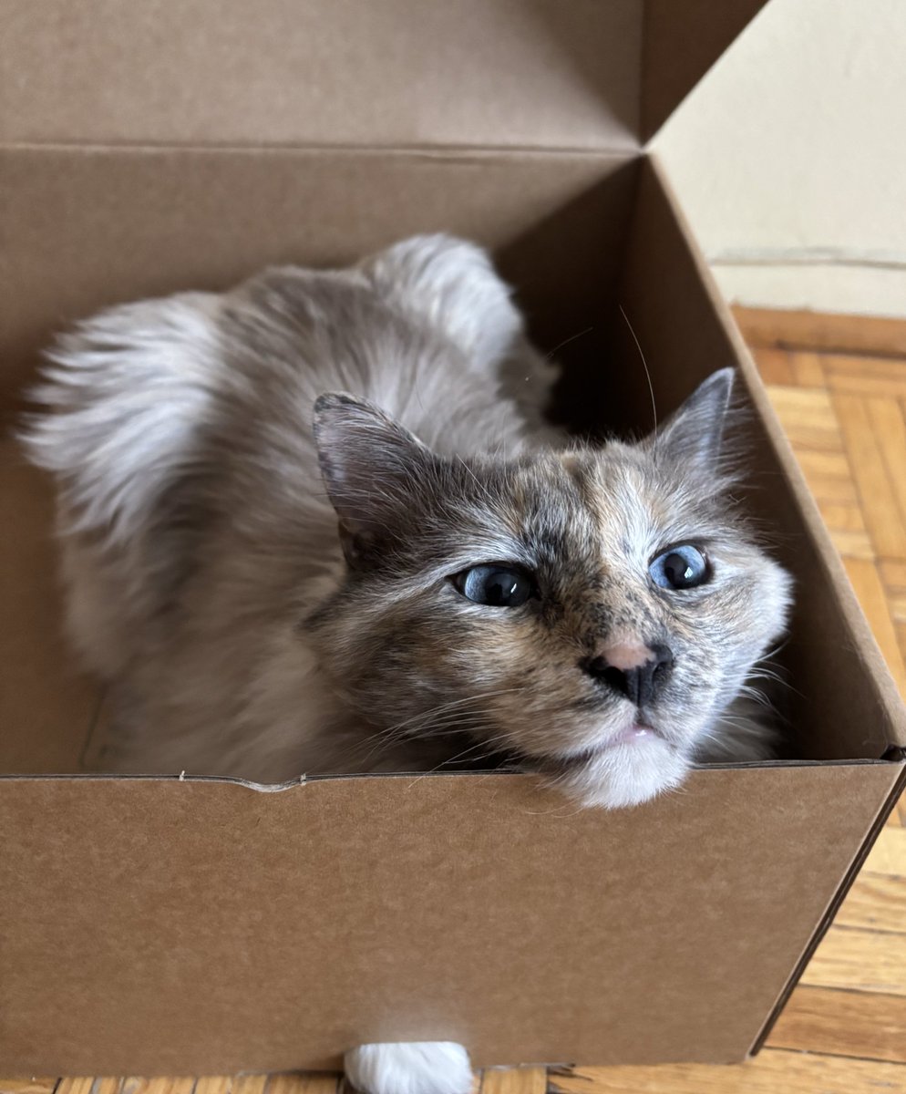 Elitist (@despiteopposite) on Twitter photo 