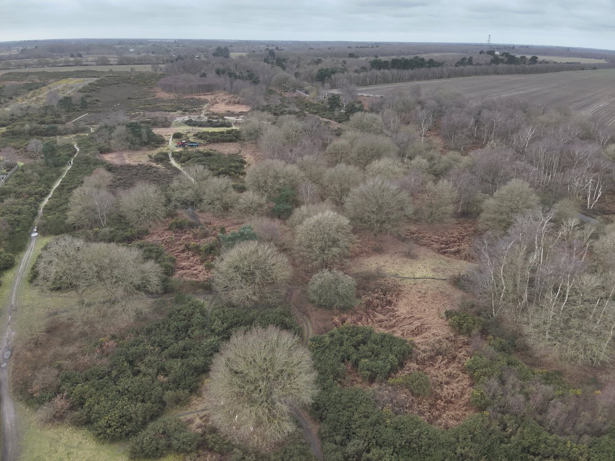 Greenways Project tweet media