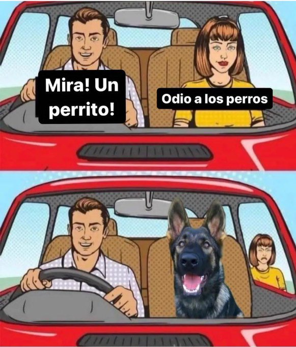 itsD3lay🐧 (@itsd3lay) on Twitter photo 