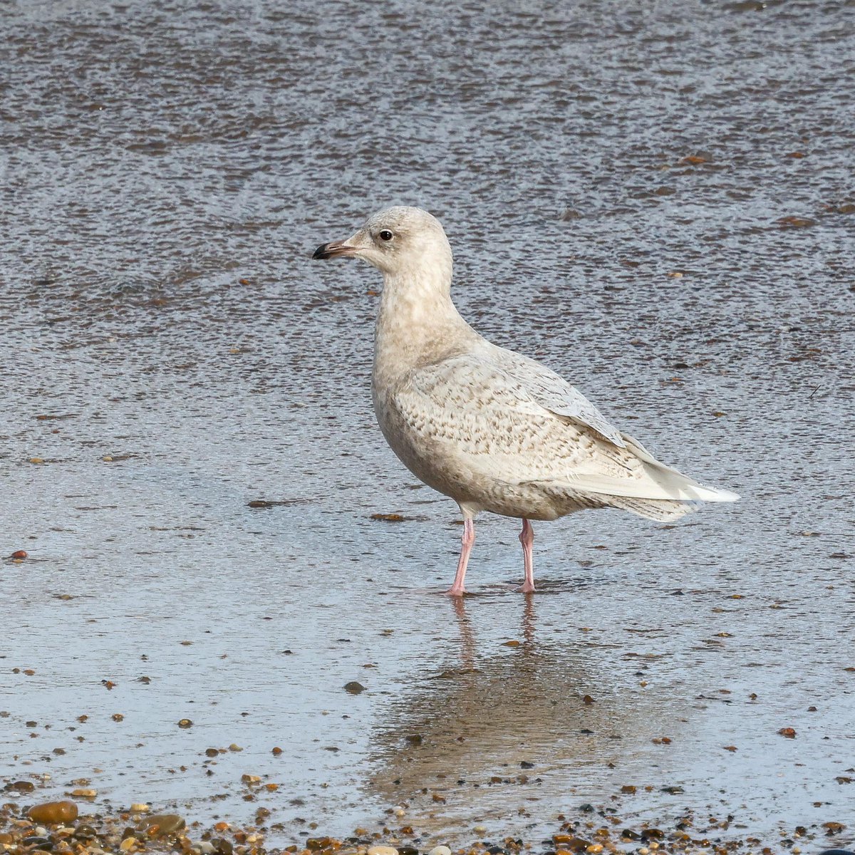 JOHN HARRIS tweet media