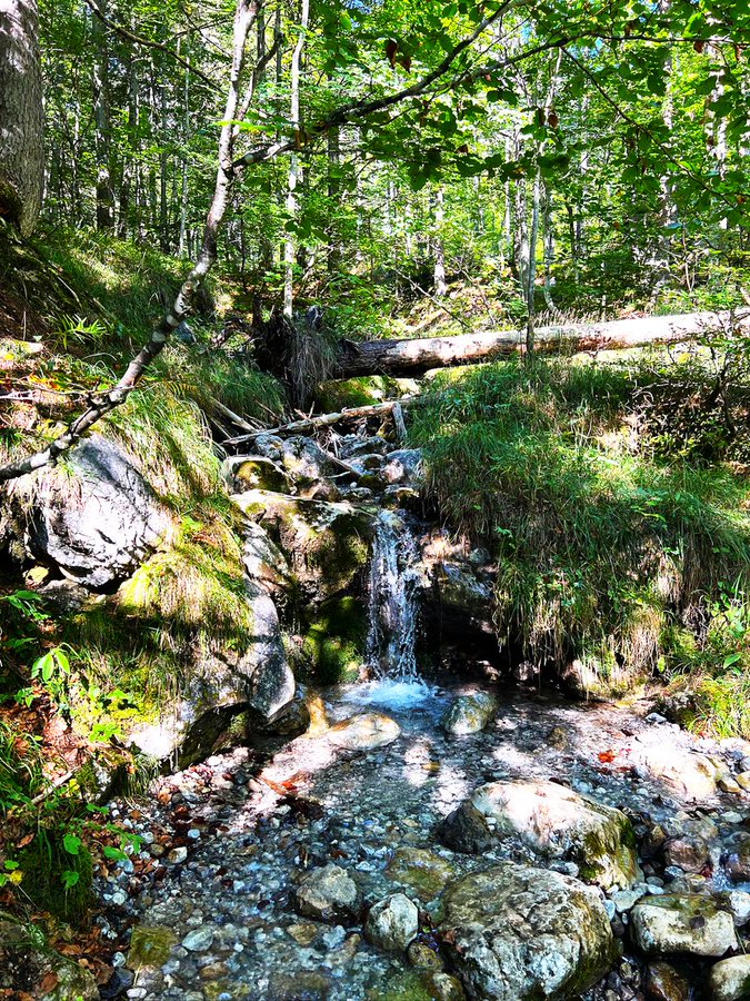 Green is a mission tweet media