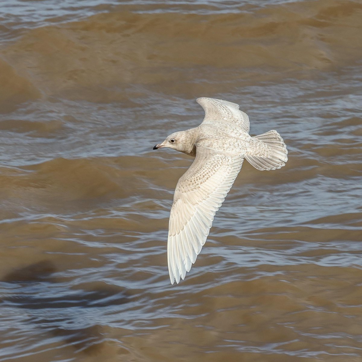 JOHN HARRIS tweet media