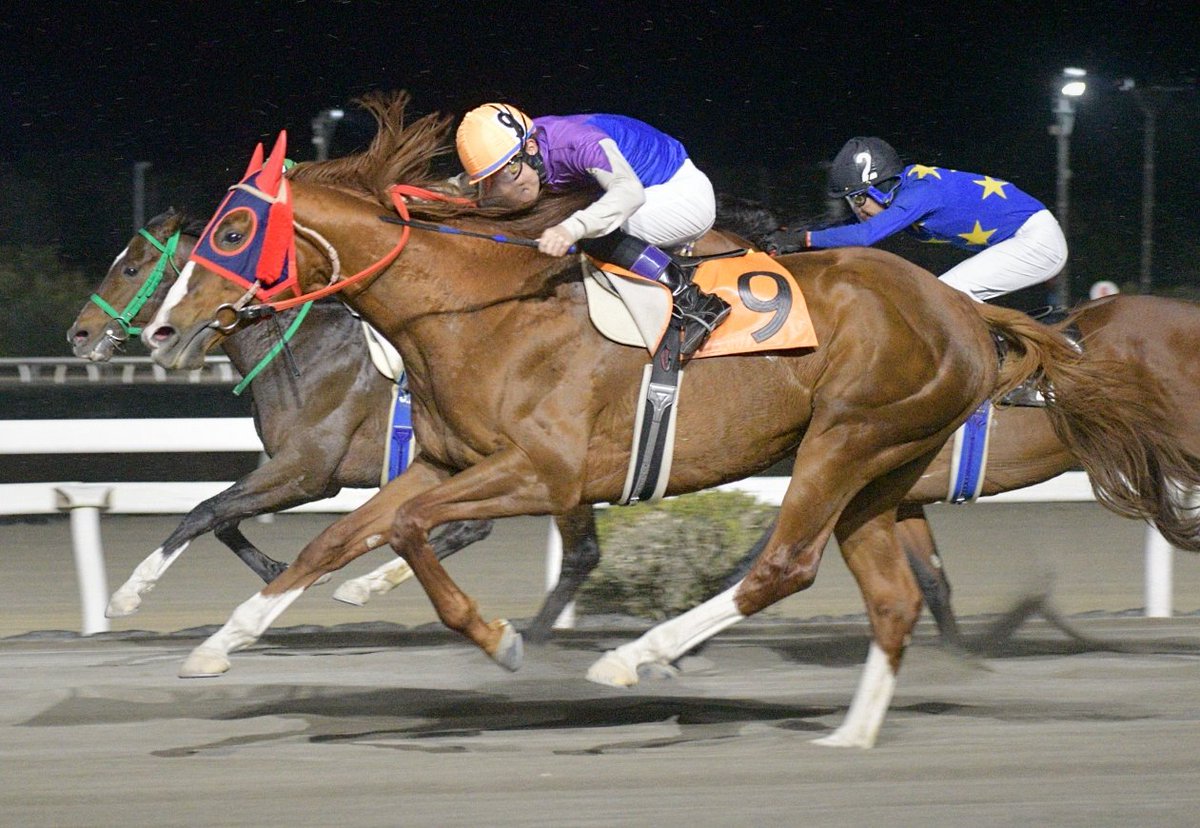 キリン (@tttt0145) / Posts / X