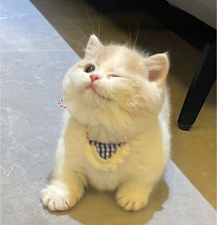 Hayırlı iftarlar dilerim 😅😅