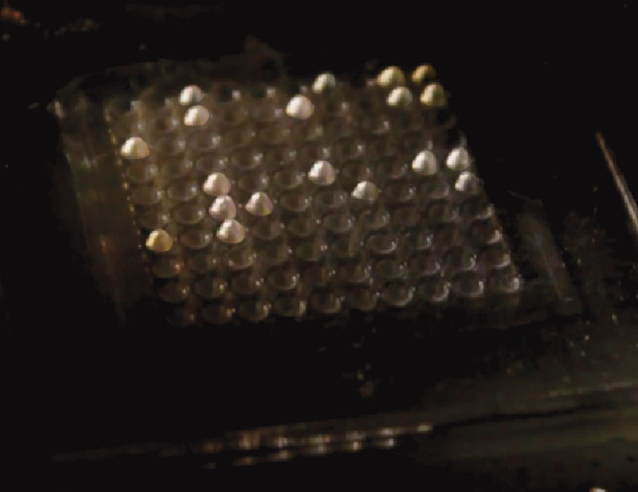 Science Robotics tweet media