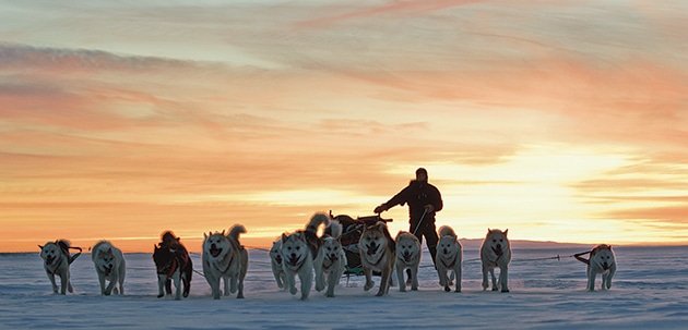 It's snowing in NYC.

Hang on guys, help is on the way ❄️ 🛷 

#Greenland #USA