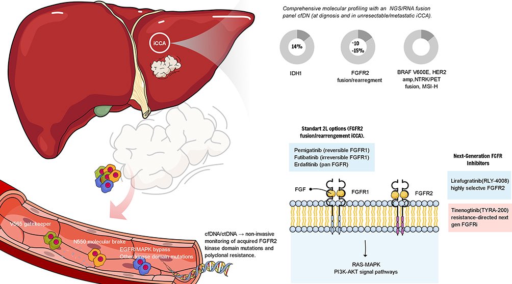 Enes Erul MD tweet media