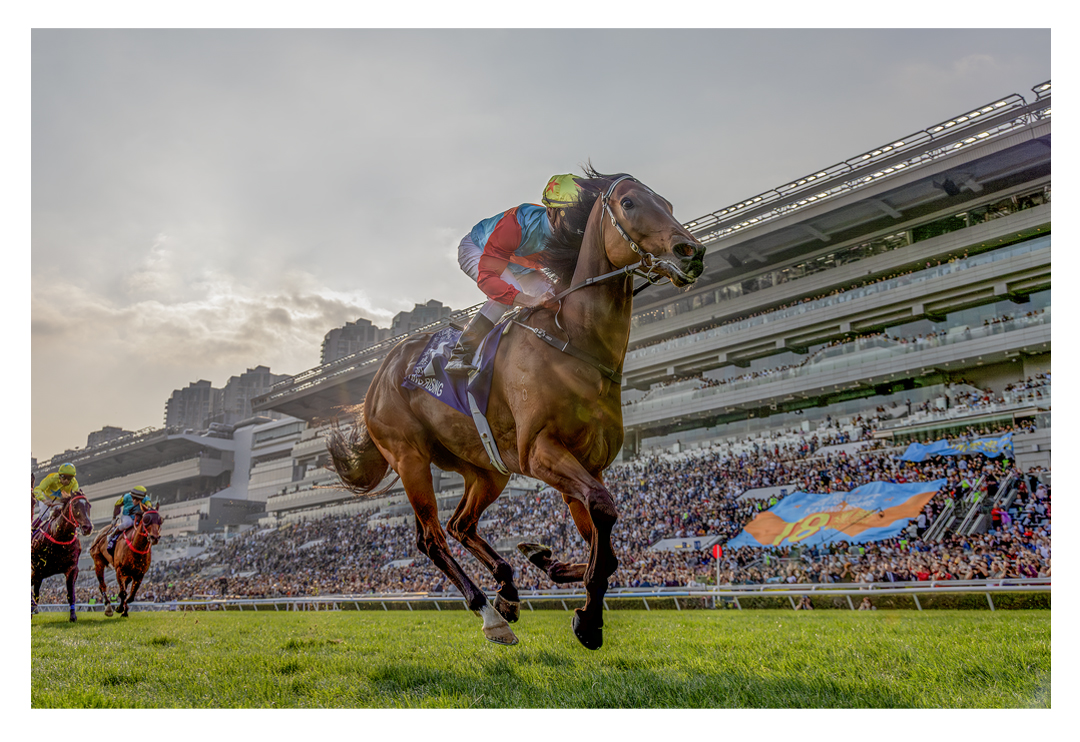 Composited image of Ka Ying Rising breaking the record with the 18 wins banner unfurled amongst the crowd!! #HkRacing #LoveRacing #カインライジング #嘉應高昇