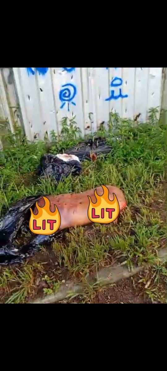 MiliciaNeews2's tweet photo. Olha a covardia que o PL fez com o Di dedo sem prova de nada, PL você é inconsequente, covarde e sem caráter. Pior gestão que a zona oeste já teve. Vocês dão tiro em polícia, mata seus funcionários sem prova. Vamos ver até onde você vai. Maior covarde que teve na zona oeste! https://t.co/YCmA18kvss
