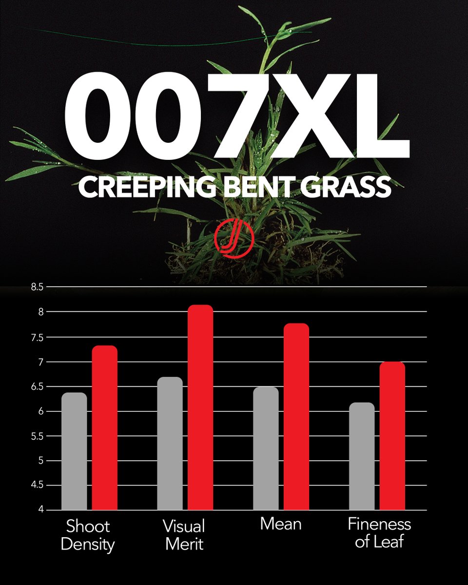 Johnsons Sports Seed tweet media