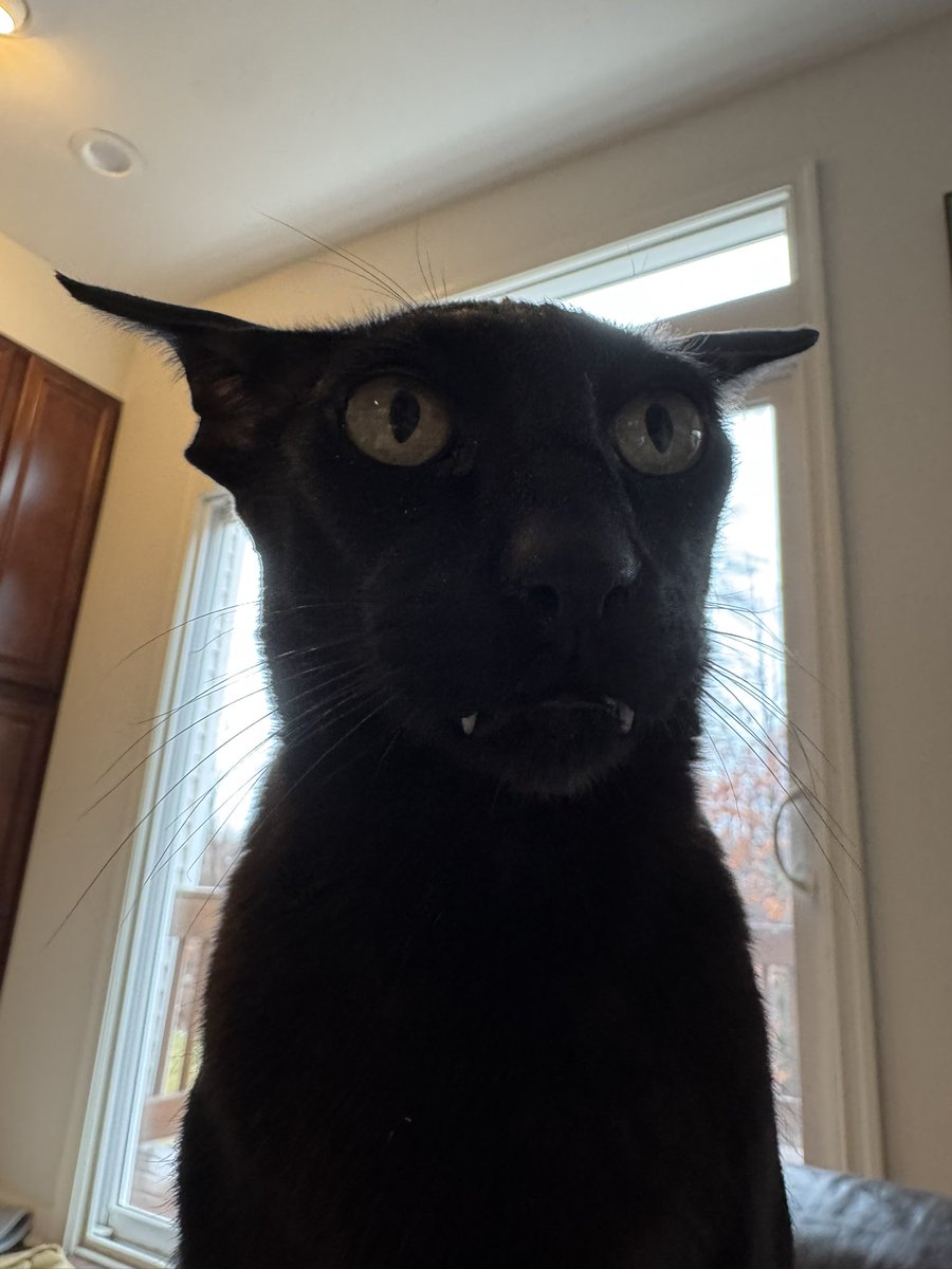 EvilLarryToken tweet media